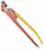 Eclipse Tools Crimpers Eclipse Photo of 300-107